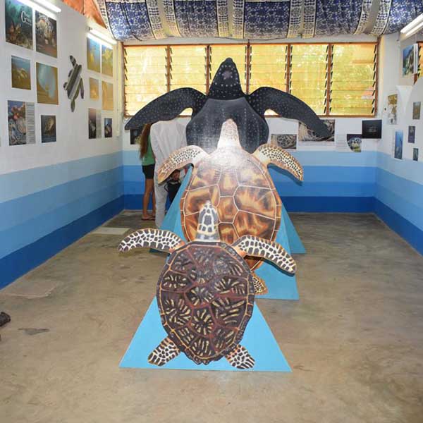 marine protection kenya